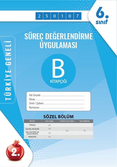 Nartest 6. Sınıf Süreç Değerlendirme Ocak B Söz Kod 250107